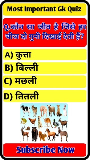 General Knowledge Quiz | GK Questions and Answers | GK in Hindi #gkguiz #gkinhindi #brgkstudy