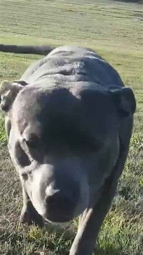 This Barrel's Getting a Precision Makeover 🔧