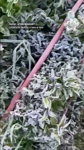 Ilang pananim sa Atok, Benguet nabalot ng andap.