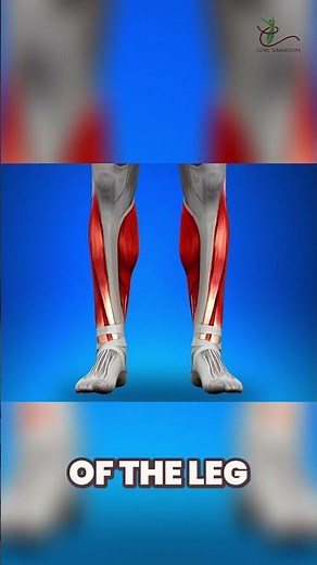 Knee Pain When Squatting or Bending: Causes & Solutions #shorts