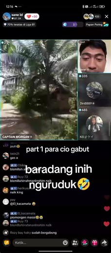 Keseruan Naik Pohon Kelapa dan Galaksi