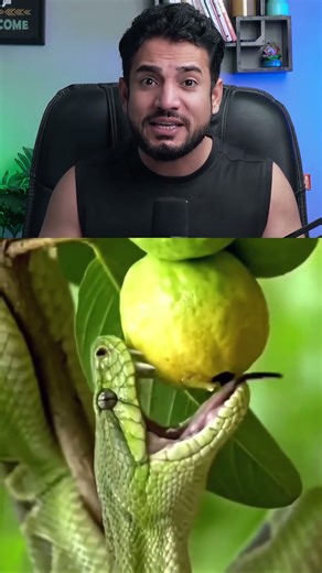 🐍🍎 Is Fruit Ko Khana Jaan Le Sakta Hai | Snake Bitten Fruit Warning | Must Watch #shorts