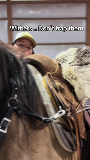 Withers don’t trap them . 🔚Miles ahead start with the Withers.. 🔚From ranch horses to quarter horses we need to have free moving withers. 🔚Biomechanical Movement and Research 💰InsightsScapular clearance: Research highlights that the shoulder blade (scapula) must slide upward and backward beneath the front of the wither area by up to 10-15 cm during a full stride. 🧶Inertial sensor studies: Modern veterinary gait analysis using body-mounted inertial sensors demonstrates that withers vertical 
