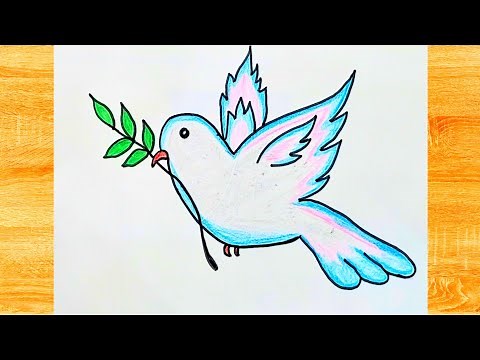 How to draw a Dove //Dove drawing 🕊//Dove drawing with colour