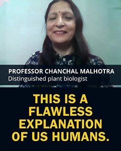 4.1K views · 177 reactions | This is the most important interview of all time, it solves the human condition, ends all the turmoil & suffering in the world and finally makes sense of our lives. Acclaimed broadcaster interviews biologist Jeremy Griffith about his breakthrough, world-saving resolution of the human condition. Watch Completely Free Now – www.HumanCondition.com | World Transformation Movement | Facebook