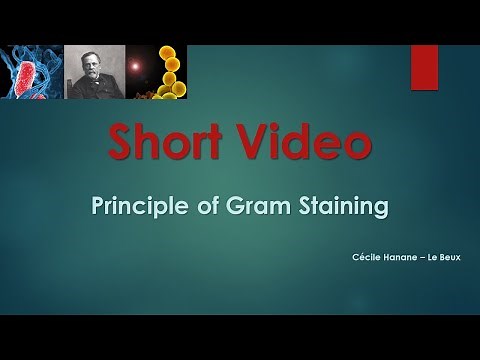 GRAM STAINING PRINCIPLE