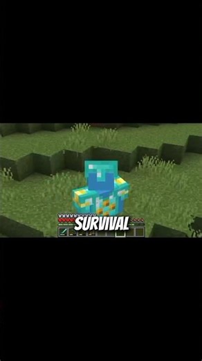 Add-on Night Vision MCPE 1.21+