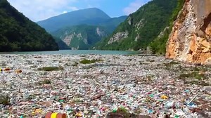 81K views · 2.3K reactions | We need a globally binding agreement on marine plastic pollution to push governments around the world to take action. #StopPlasticPollution Sign the petition now: https://bit.ly/2WZqZyg | WWF | Facebook