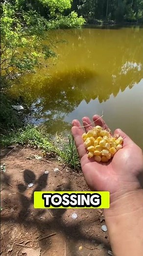 Why Pros Toss Magnets Into The Water 🧲 (Mind Blowing!) #fishing #shortsvideo