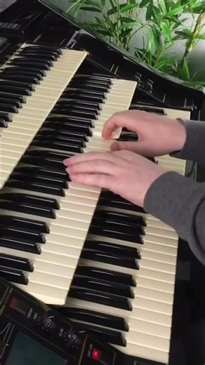 Lullaby In Paradise | Florian Hutter - Wersi Atlantis #shorts #organ #rumba