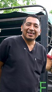 Recientemente realizamos la colecta de semen en Ian y Monarca, como parte del seguimiento reproductivo de nuestros sementales. Durante el proceso, el Profesor Investigador de la UJAT, Armando Mendoza González, nos comparte acerca del tipo de colecta que se realizó y lo que se observa al evaluar la calidad seminal de nuestros ejemplares. ¡Seguimos trabajando! 📲 52 993 153 7207 #RanchoPradoVerde | Rancho Prado Verde