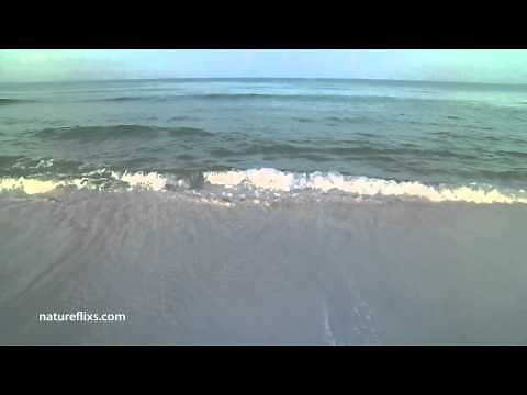 That's What Living Is To Me - Jimmy Buffett