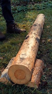 42K views · 86 reactions | Cut Logs Like a Pro with This Simple Trick | 5-Minute Workouts | Facebook