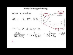 PoL2 - Cooperativity (b)