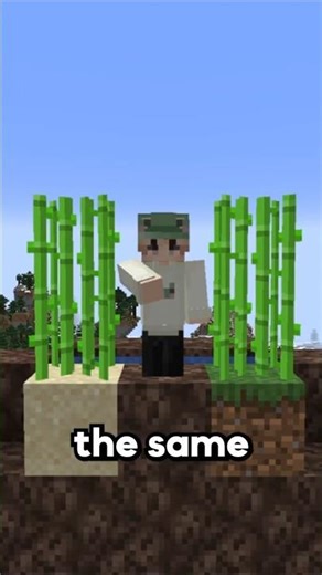 3 Minecraft Myths You Still Believe