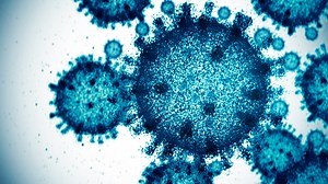 A new COVID strain is circulating Australia. | Sky News Australia