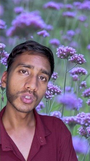 FIND WHOL LOVES YOU #viral #sad #ytshorts #youtubeshorts