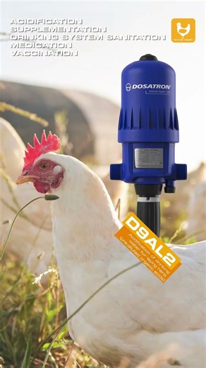 Poultry Proof of Concept: Drinking Water Acidification for Laying Hens | Organic Acids Dosing