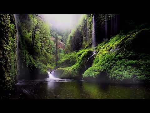 Musique Douce Piano Pour Se Relaxer- Doux Rythme-Musique Relaxante Piano