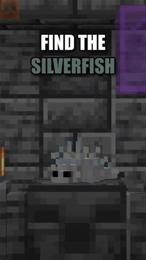 Find The SILVERFISH in 5 Seconds! 🔍 | Minecraft
