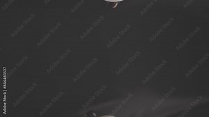 Closeup slow-motion shot of Chef smashing two eggs together for the meal.