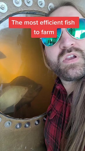 Sustainable Fish Farming: Key Tips for Efficient and Healthy Production