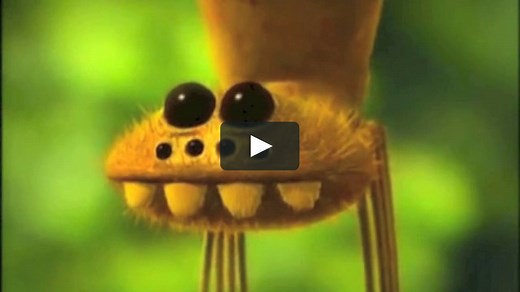 Minuscule-La coccinelle