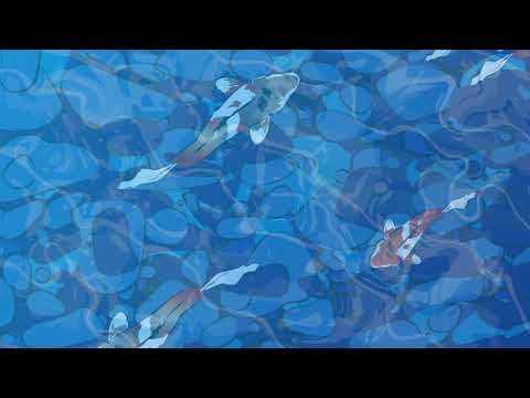 Koi Fish Animation