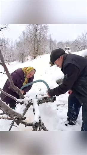 Exploring Country Life: A Cooking Vlog from the Village