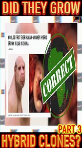 DID THEY GROW HYBRID CLONES? PT3 #CRUMBTV WATCH FULL VIDEO ON YOUTUBE: https://youtu.be/svpLrC5D6dc | Crumb TV