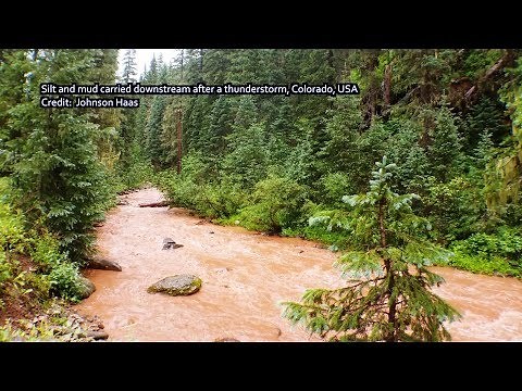 Earth Parts #30 - Detrital Clastic Sedimentary Rocks