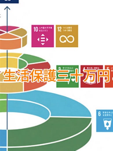 #トル勃発 覚醒進次郎総理を守る#japan #ニュース #tokyo #高市早苗 #shorts (2)