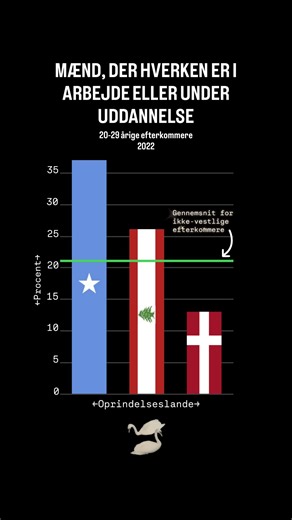 🇩🇰Folkets Sande Indsigt🇩🇰 on Instagram: "💀💀💀 Kilde: Indvandrere i Danmark 2024, DST"