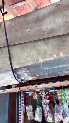 Cover Gitar Masa SMA: Nostalgia Putih Abu-Abu