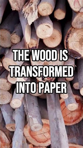 HOW PAPER IS MADE 😏 🏭#paper #howisitmade #paperrecycling