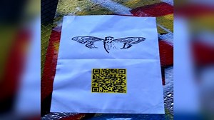 The Secret Organization Behind Cicada 3301: Still Anonymous Today