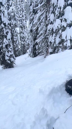 140K views · 940 reactions | @freerider_filmz•Steamrolled #fail #snowmobile #winter #mountain #sled | Snowmobile Fails | Facebook