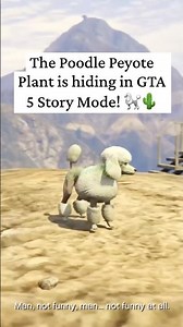 I Found the Poodle Peyote Plant in GTA 5! 🐩🌵 #Shorts