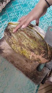 13M views · 10K reactions | #hortanalage #hortade #hortaemcasa #hortaemvasos #fruitlover #fruitchallenge #hortaorganica #fruit #horta | Giseli De Oliveira | Facebook