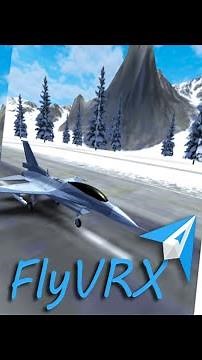 FlyVRX