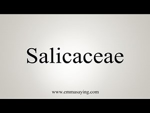 How To Say Salicaceae