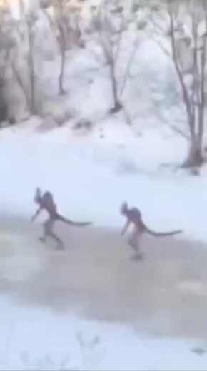 Unveiling the Mystery of Reptilians and Aliens