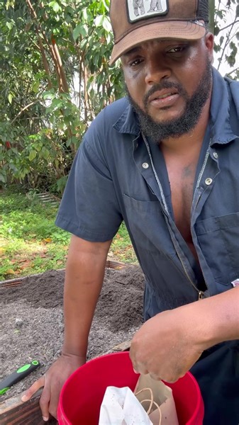 How I use rabbit manure. #manure #tomatoes #food | Big Steele Urban Farm