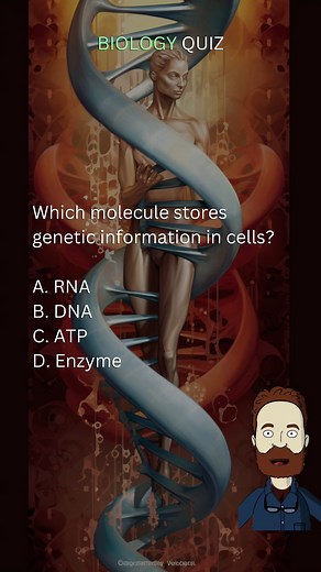 Biology Quiz | Test Your Biological Knowledge With this Interactive Biology Quiz! 🧪🧠🔬🧬 | #biology #lifescience #science #explorebiology #quiz #getlearning #school #education #knowledge #learning #challenge #trivia #facts #brainteaser #fbreels #reelsfb #reels #viralreels #fyp #quizbee #educationalcontent | Quizzy Bee