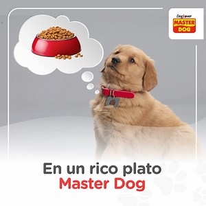 67K views · 45 reactions | Tuvimos un flashback de Atom cachorro, por supuesto pensando en un rico plato #MasterDog.  Gracias a todos los nutrientes que tienen nuestros alimentos, tus cachorros también crecerán sanos y felices como Atom✨. | Master Dog Chile | Facebook