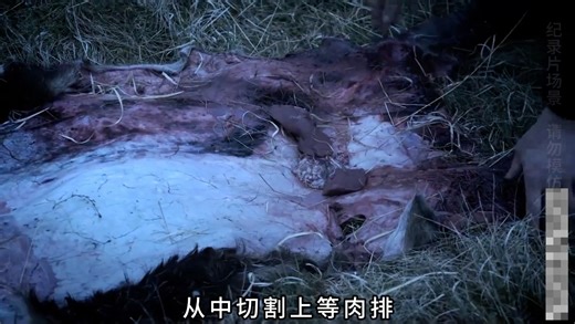 德爷单挑荒野 德爷英格兰高地求生，捡到99公斤鹿，...