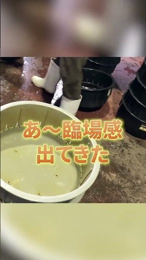 大五うなぎ工房の立場（たてば）作業をやってみた！