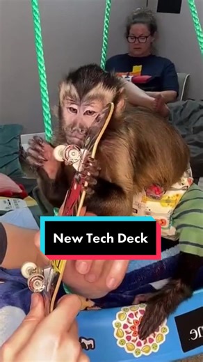 Nash Reviews New Tech Deck | Monkey Skateboard Deck