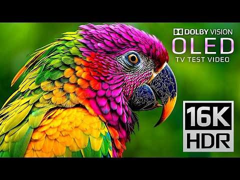 ONLY OLED TEST | 16K VIDEO ULTRA HD | Dolby Vision 16K HDR