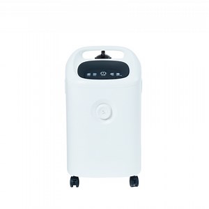 [Hot Item] CE Oxygen-Concentrator Dual Flow Medical Oxygen Concentrator Psa Oxygen Concentrator Price List 5L 10L Machine